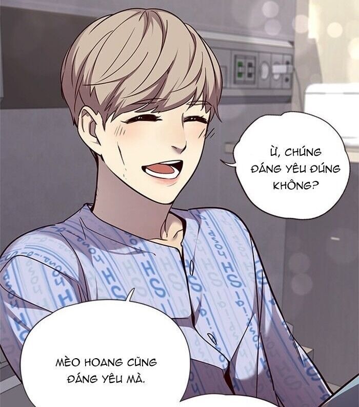 Hoá Thân Thành Mèo Chap 46 - Next Chap 47