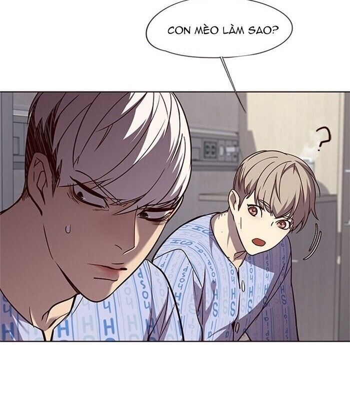 Hoá Thân Thành Mèo Chap 46 - Next Chap 47