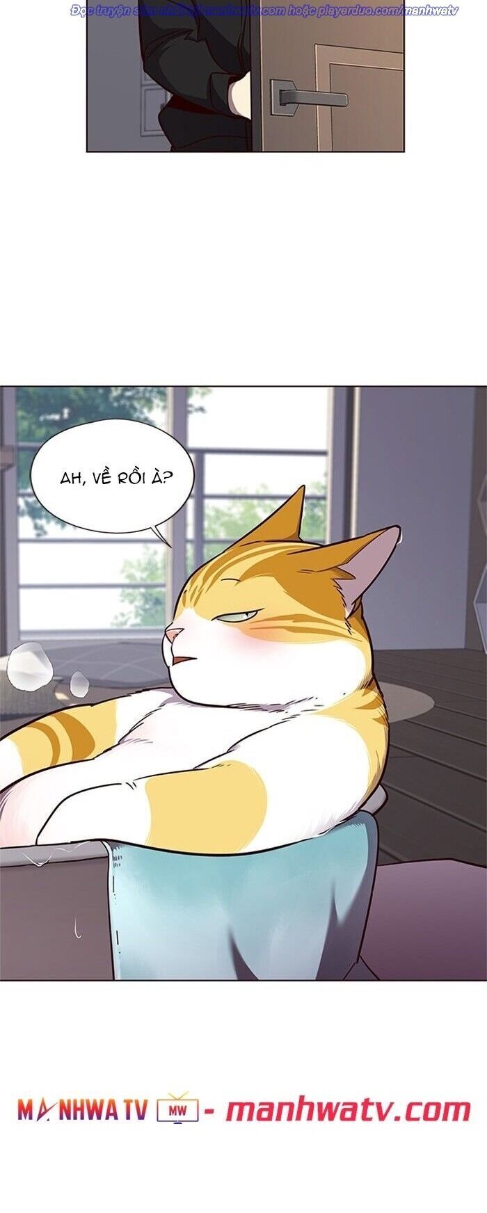 Hoá Thân Thành Mèo Chap 47 - Next Chap 48
