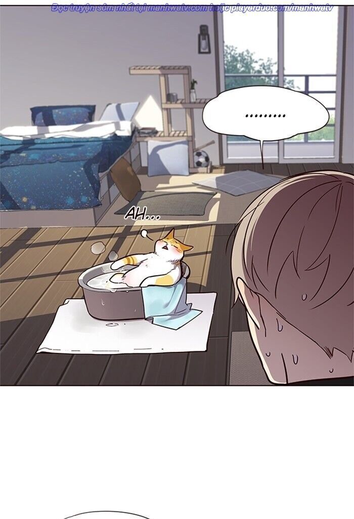 Hoá Thân Thành Mèo Chap 47 - Next Chap 48