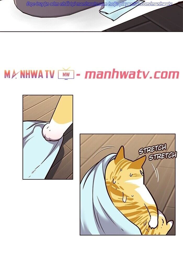 Hoá Thân Thành Mèo Chap 47 - Next Chap 48