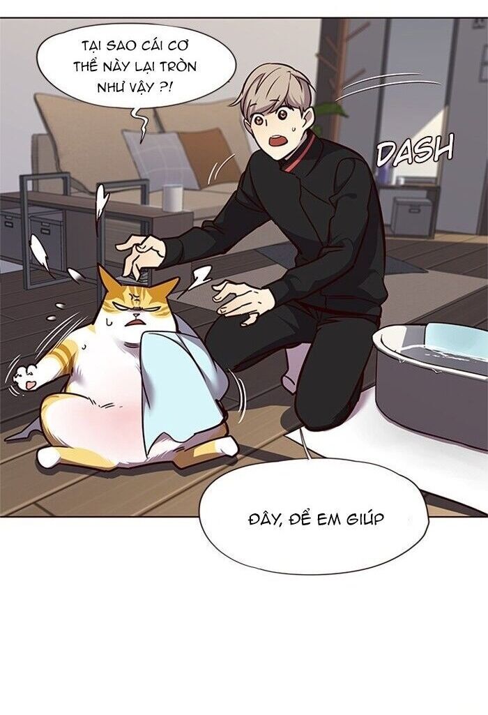 Hoá Thân Thành Mèo Chap 47 - Next Chap 48