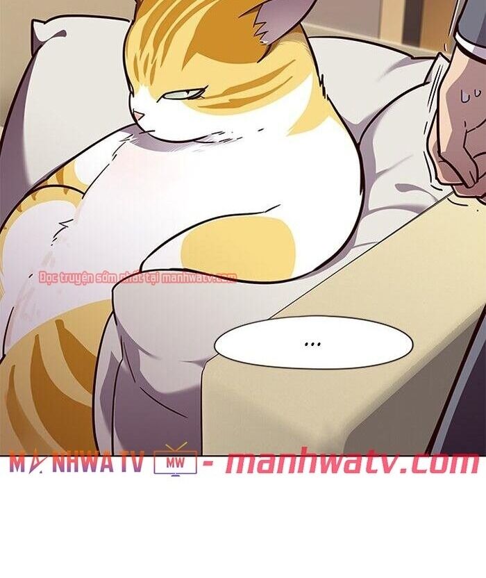 Hoá Thân Thành Mèo Chap 49 - Next Chap 50