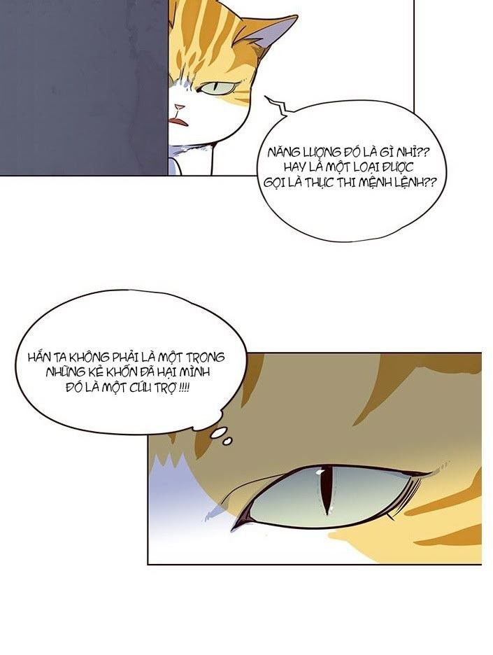 Hoá Thân Thành Mèo Chap 5 - Next Chap 6