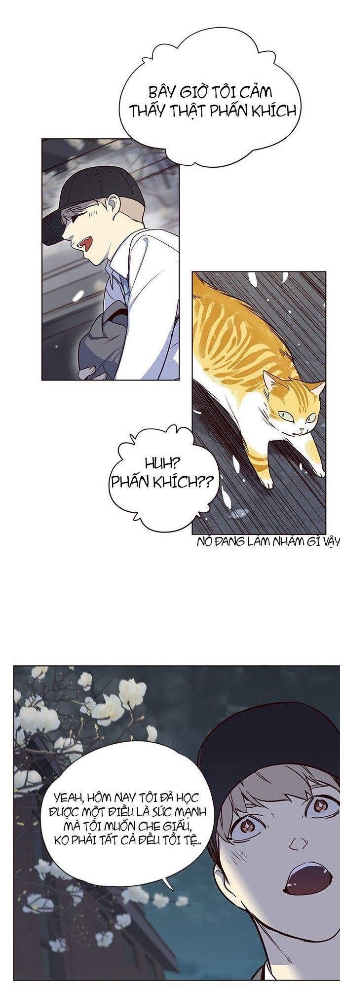 Hoá Thân Thành Mèo Chap 5 - Next Chap 6