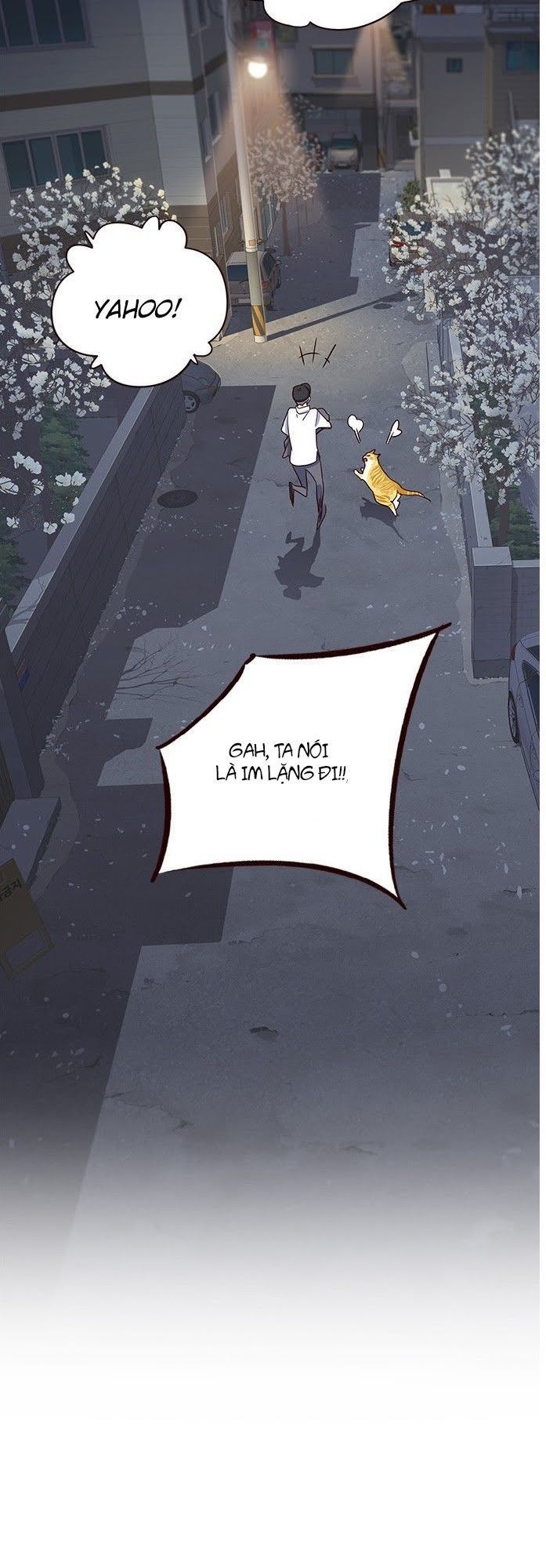Hoá Thân Thành Mèo Chap 5 - Next Chap 6