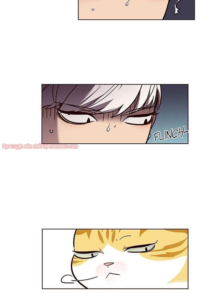Hoá Thân Thành Mèo Chap 50 - Next Chap 51