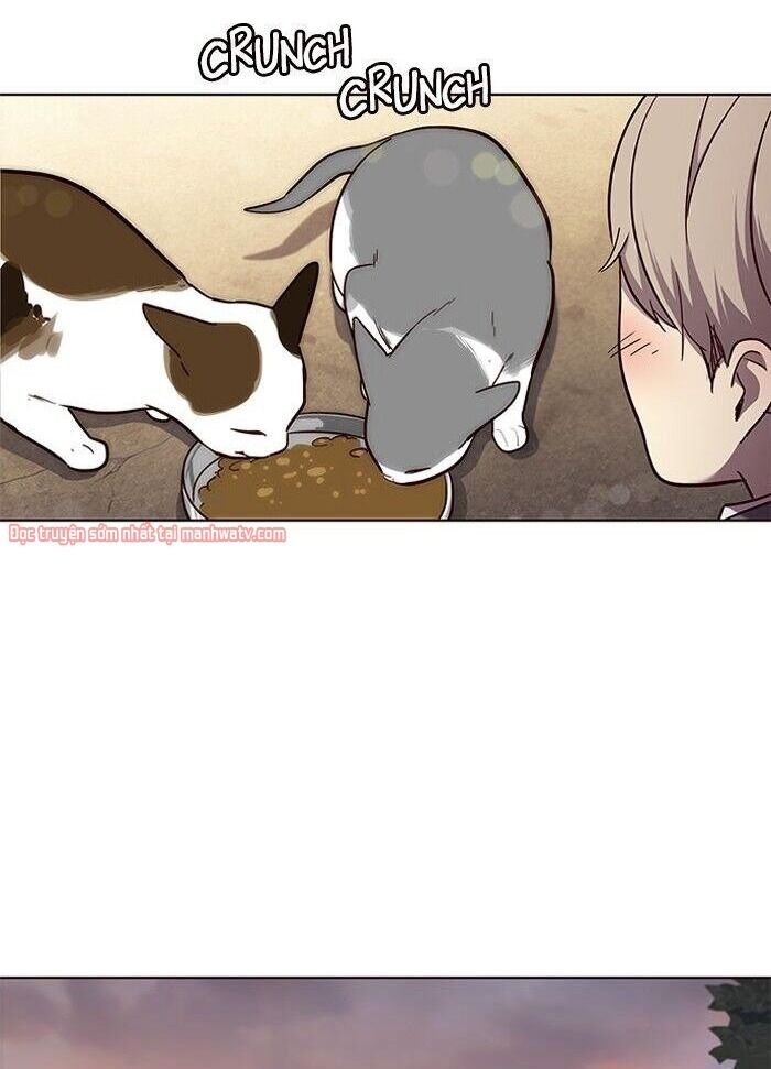 Hoá Thân Thành Mèo Chap 50 - Next Chap 51