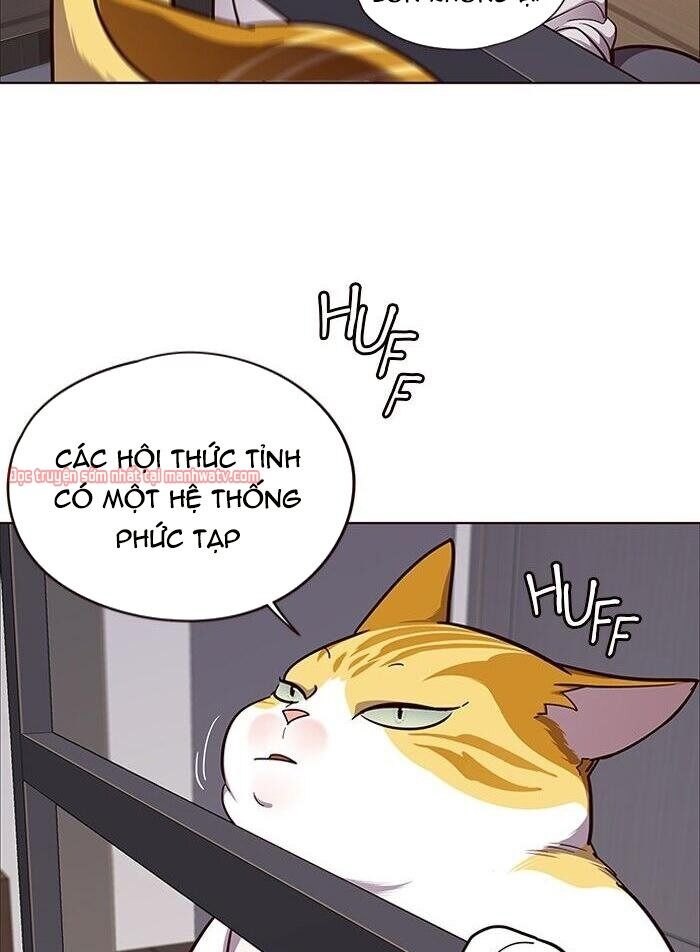 Hoá Thân Thành Mèo Chap 51 - Next Chap 52