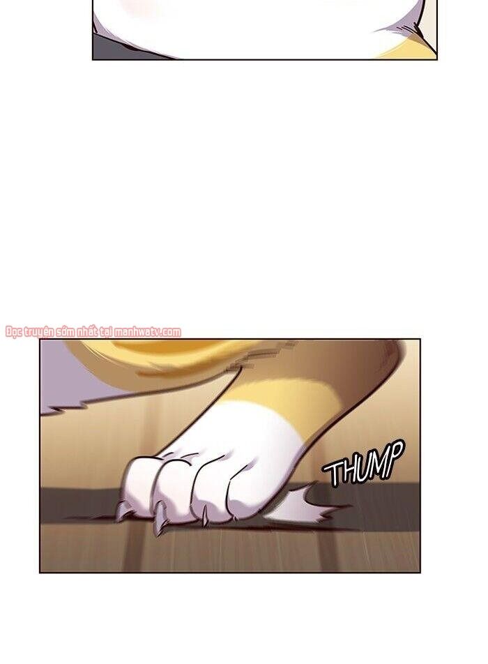 Hoá Thân Thành Mèo Chap 51 - Next Chap 52