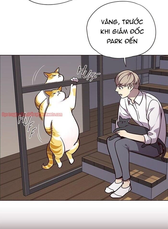 Hoá Thân Thành Mèo Chap 51 - Next Chap 52