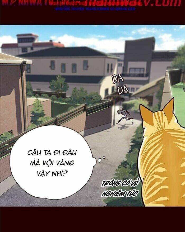 Hoá Thân Thành Mèo Chap 52 - Next Chap 53