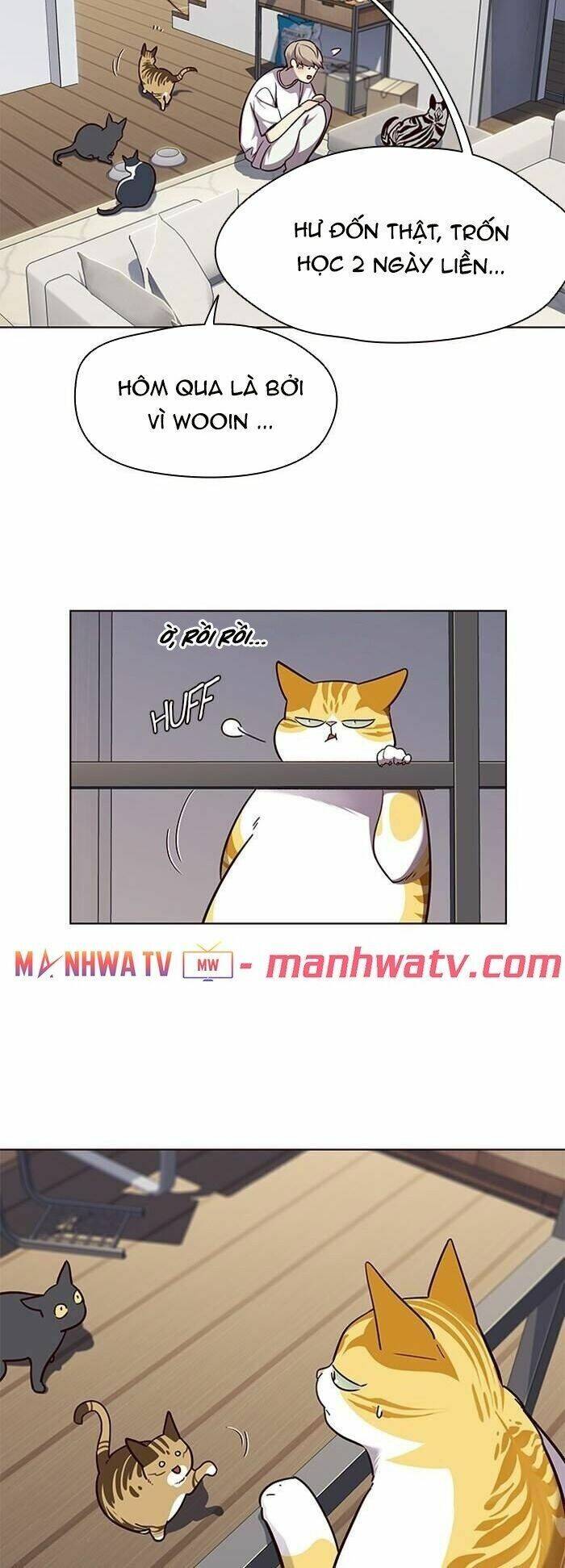 Hoá Thân Thành Mèo Chap 55 - Next Chap 56