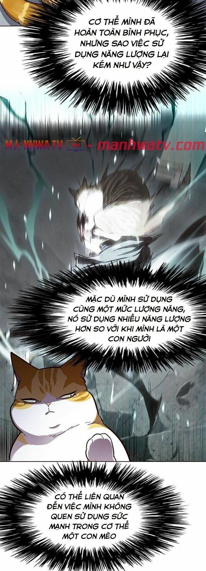 Hoá Thân Thành Mèo Chap 55 - Next Chap 56