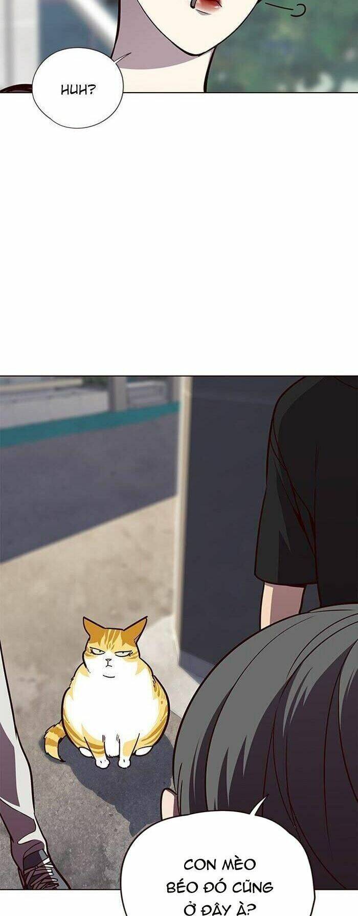 Hoá Thân Thành Mèo Chap 55 - Next Chap 56