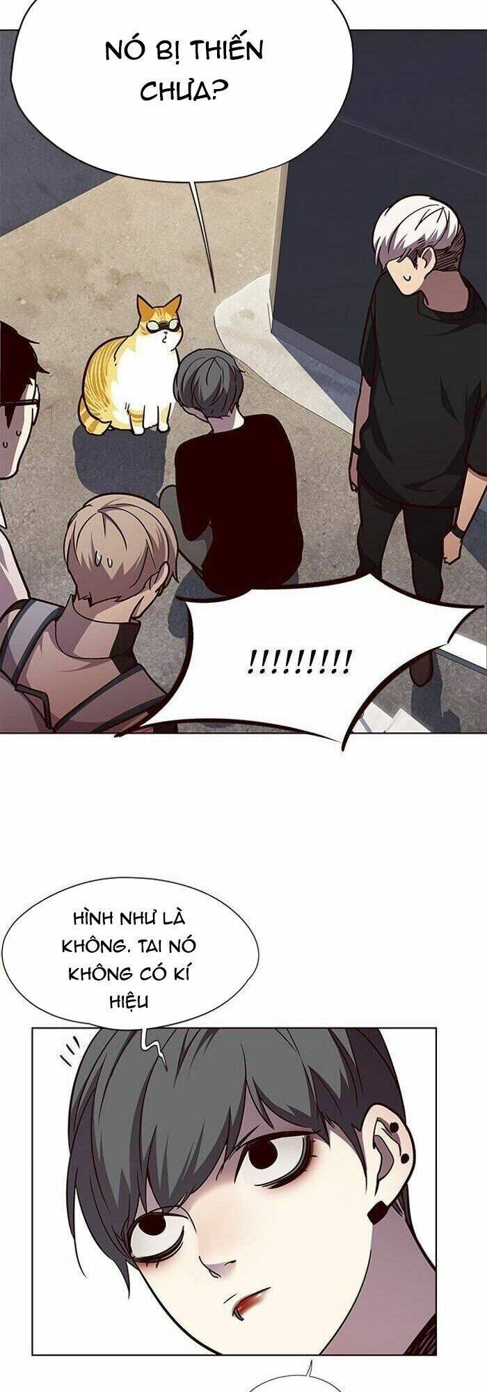 Hoá Thân Thành Mèo Chap 55 - Next Chap 56