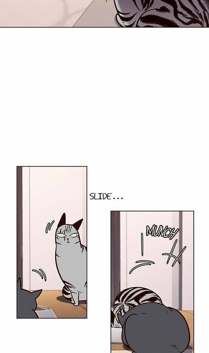 Hoá Thân Thành Mèo Chap 56 - Next Chap 57