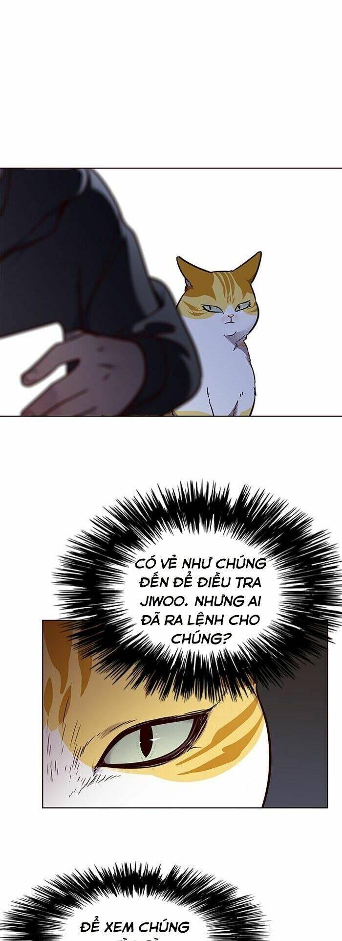 Hoá Thân Thành Mèo Chap 58 - Next Chap 59