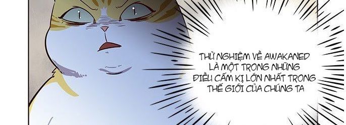 Hoá Thân Thành Mèo Chap 6 - Next Chap 7