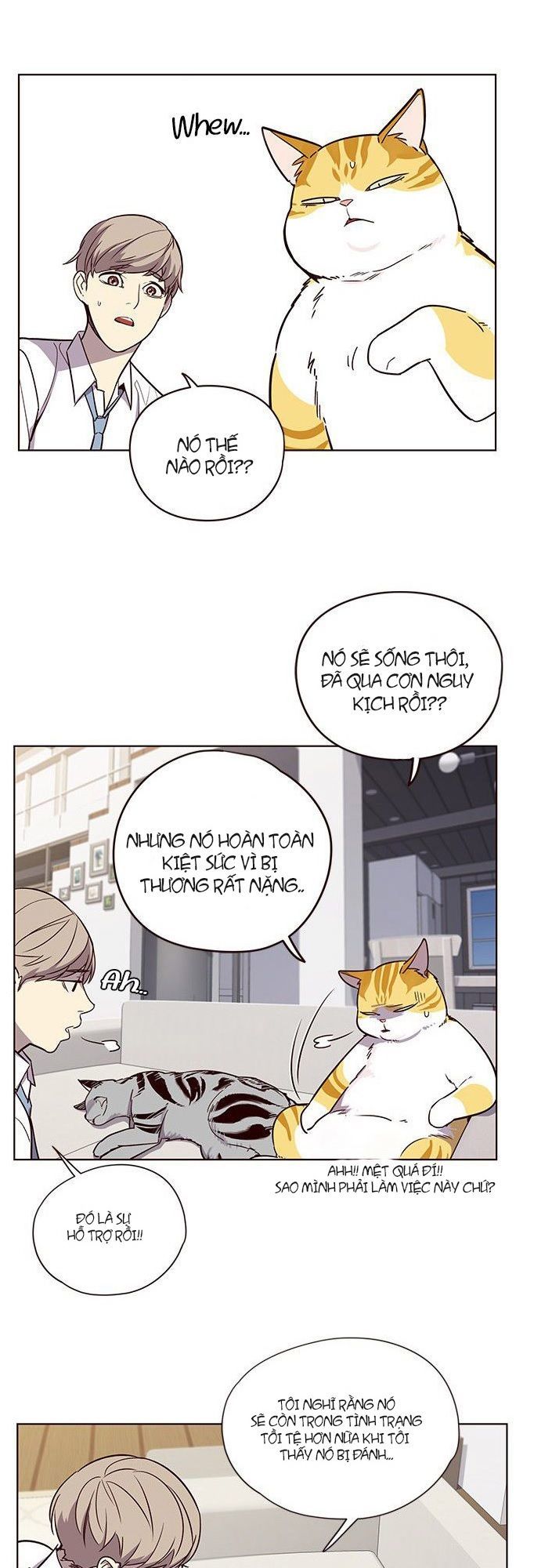 Hoá Thân Thành Mèo Chap 6 - Next Chap 7