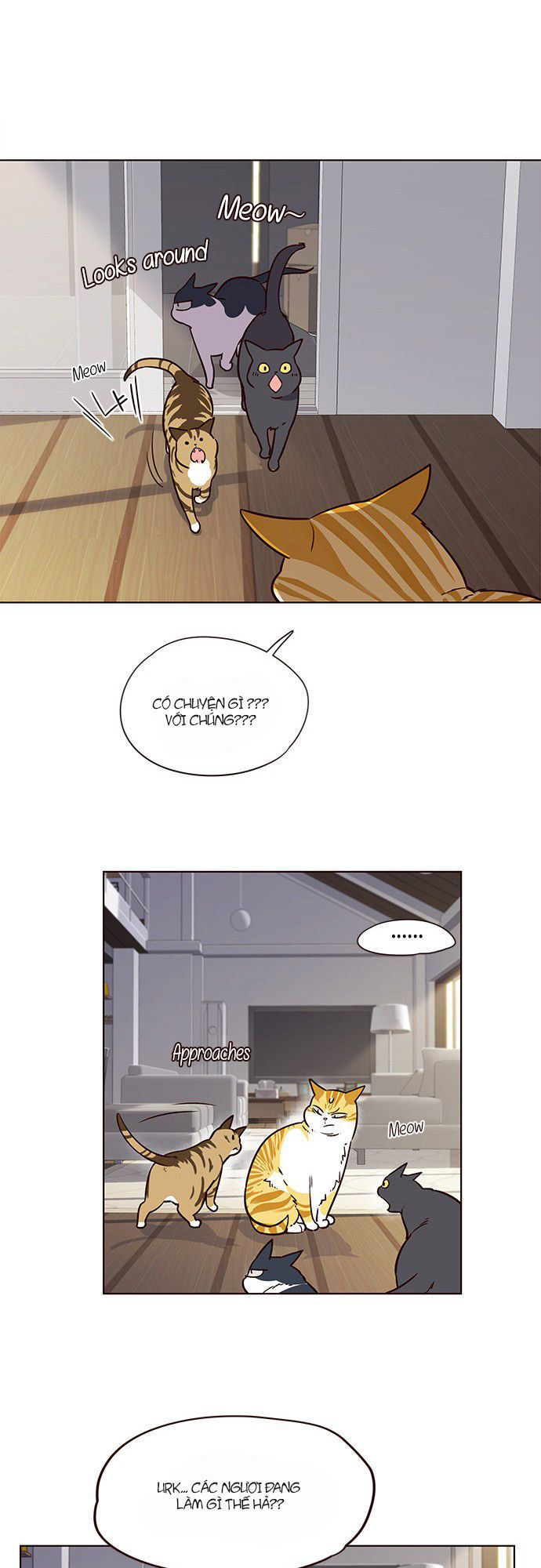 Hoá Thân Thành Mèo Chap 6 - Next Chap 7