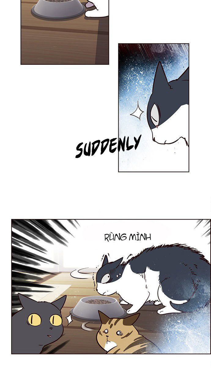 Hoá Thân Thành Mèo Chap 6 - Next Chap 7