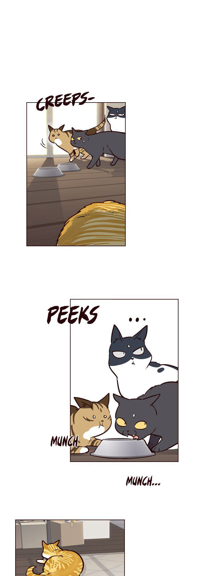 Hoá Thân Thành Mèo Chap 6 - Next Chap 7