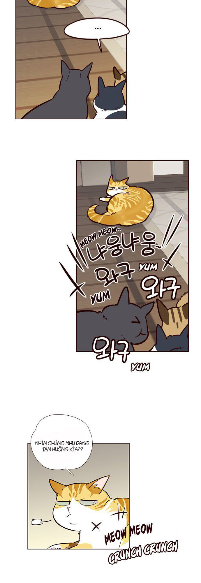 Hoá Thân Thành Mèo Chap 6 - Next Chap 7