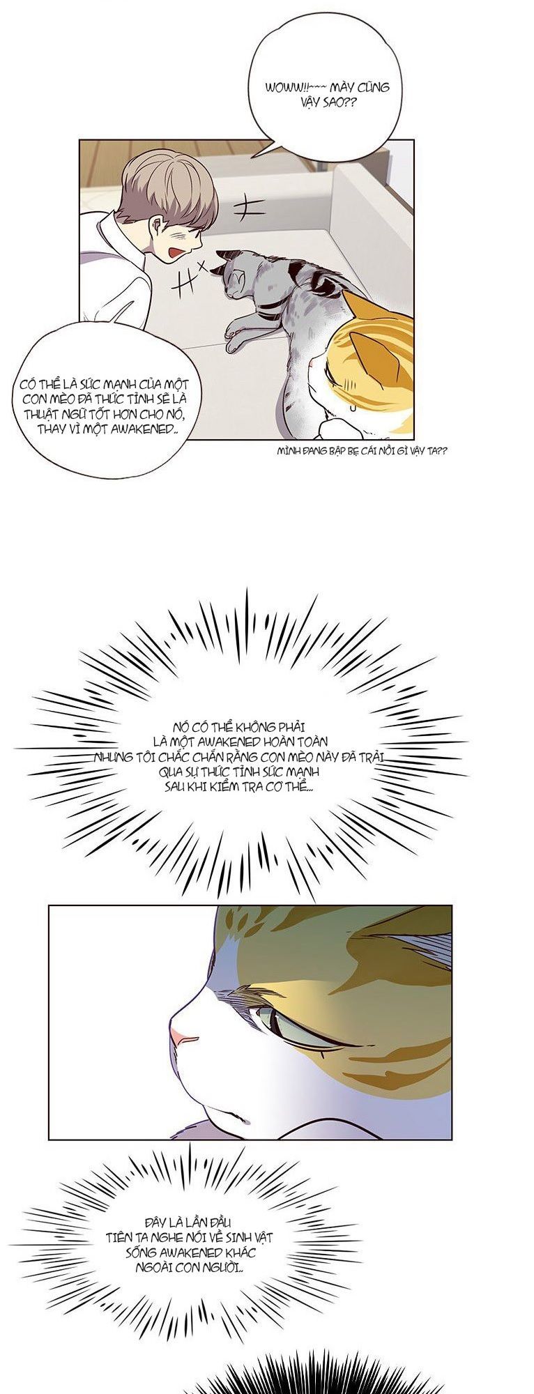 Hoá Thân Thành Mèo Chap 6 - Next Chap 7