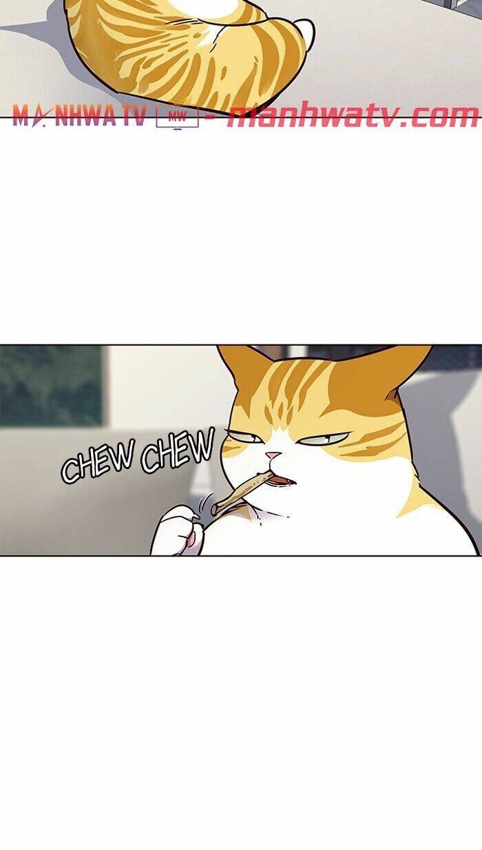 Hoá Thân Thành Mèo Chap 60 - Next Chap 61