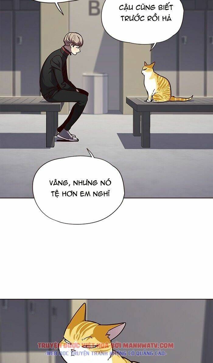 Hoá Thân Thành Mèo Chap 63 - Next Chap 64