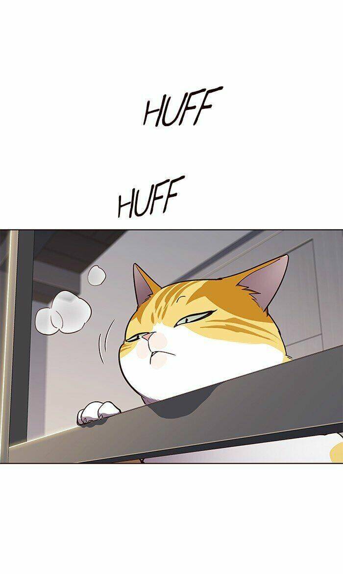 Hoá Thân Thành Mèo Chap 64 - Next Chap 65