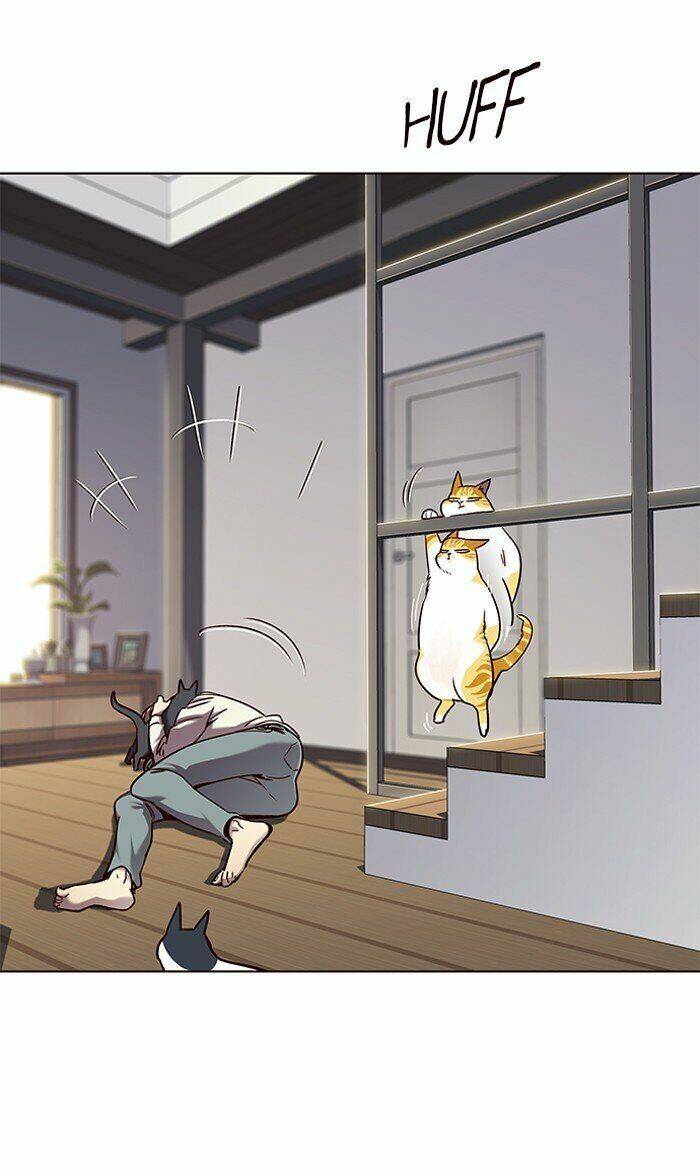 Hoá Thân Thành Mèo Chap 64 - Next Chap 65