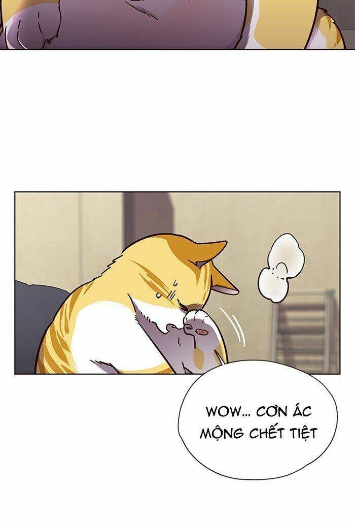 Hoá Thân Thành Mèo Chap 65 - Next Chap 66
