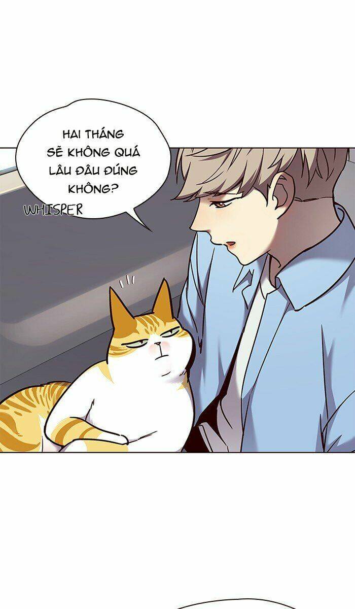 Hoá Thân Thành Mèo Chap 67 - Next Chap 68