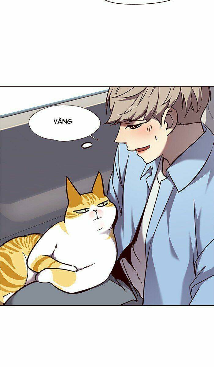 Hoá Thân Thành Mèo Chap 67 - Next Chap 68