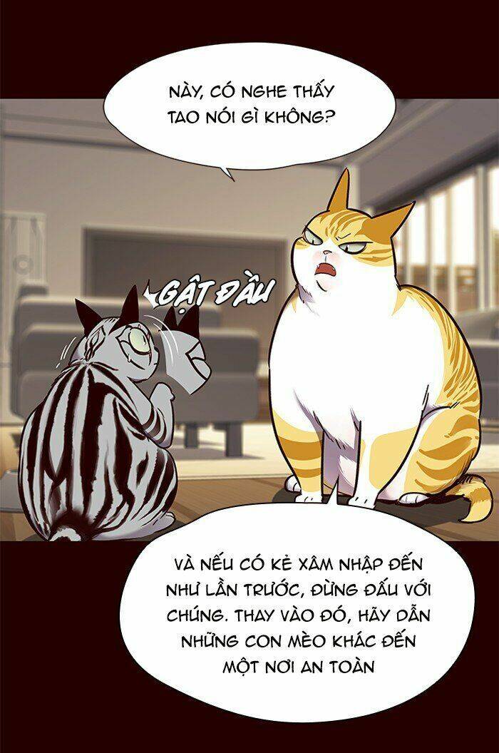 Hoá Thân Thành Mèo Chap 67 - Next Chap 68