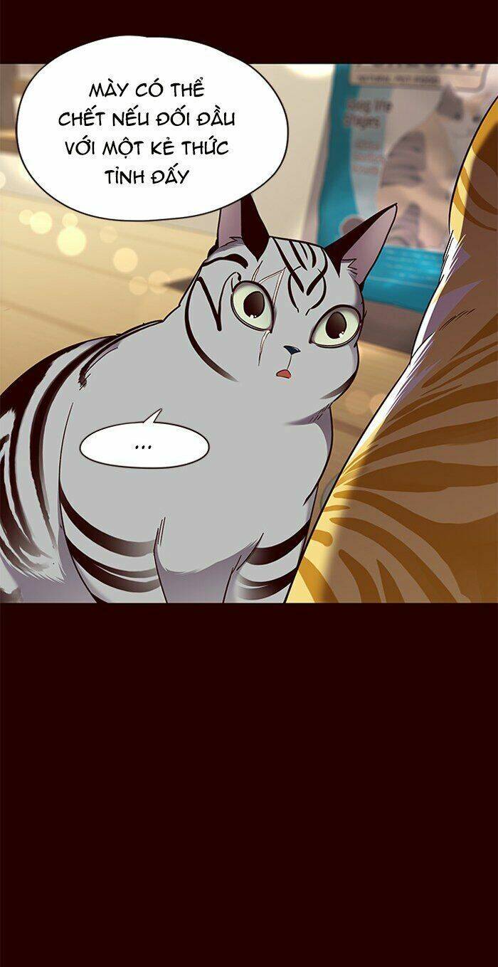 Hoá Thân Thành Mèo Chap 67 - Next Chap 68