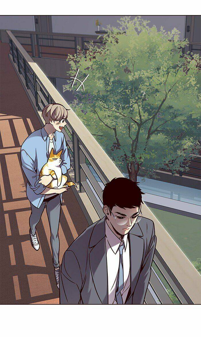 Hoá Thân Thành Mèo Chap 68 - Next Chap 69