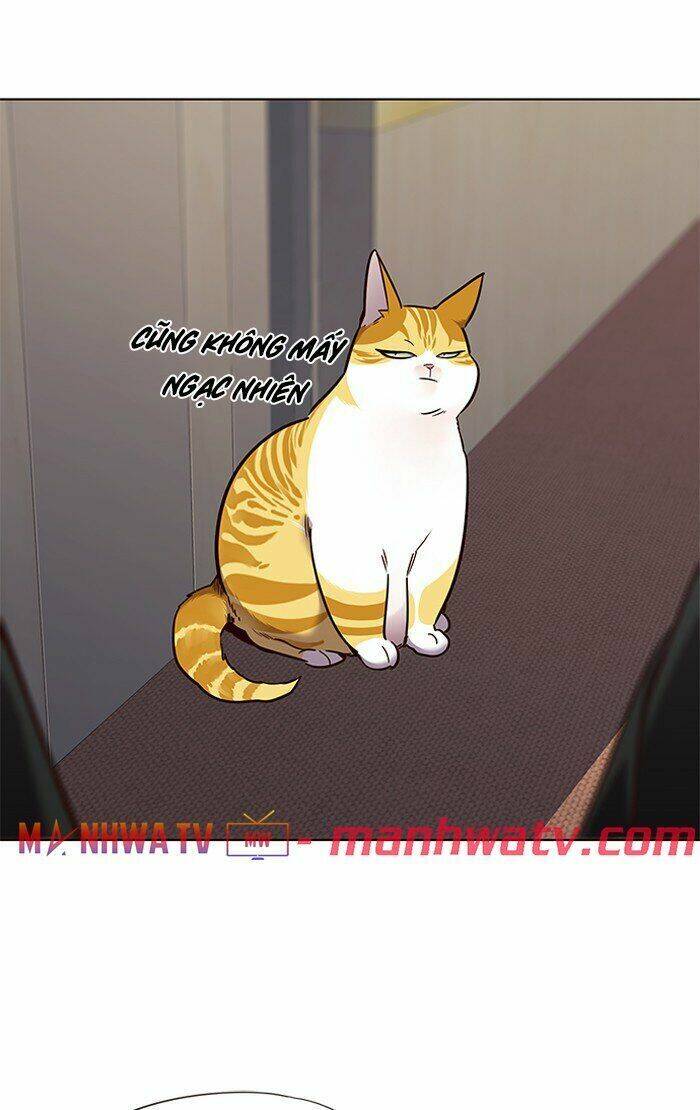 Hoá Thân Thành Mèo Chap 68 - Next Chap 69