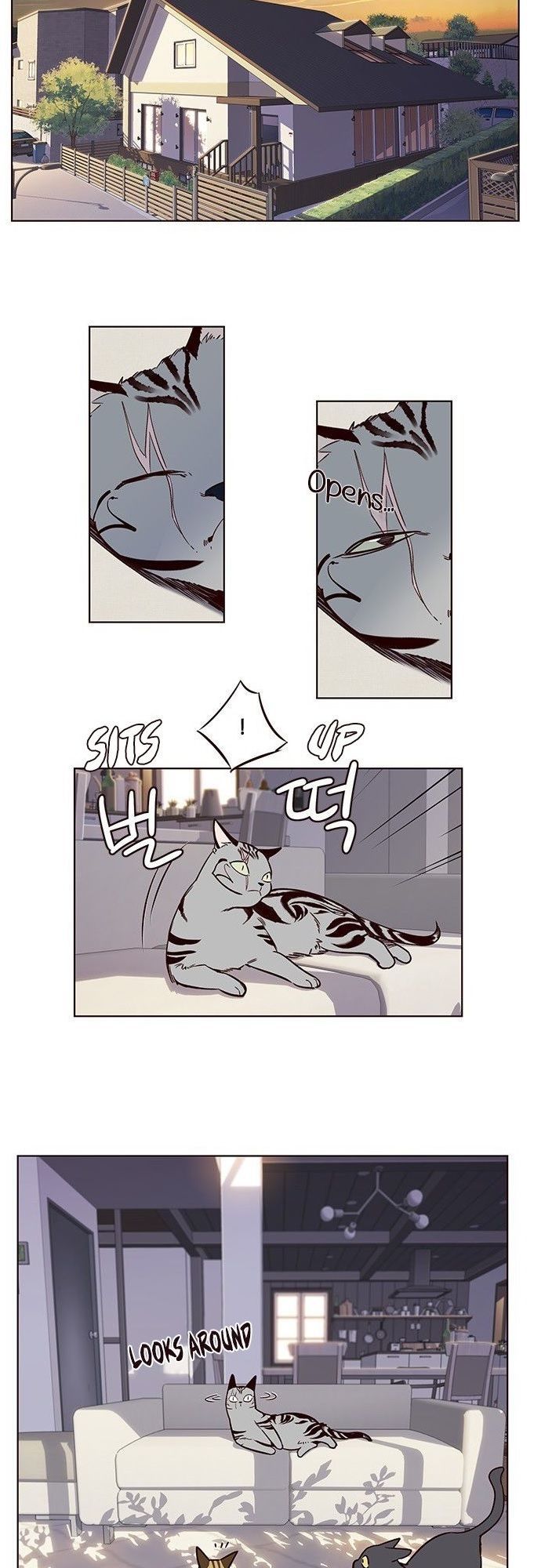 Hoá Thân Thành Mèo Chap 7 - Next Chap 8