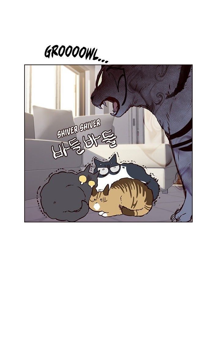 Hoá Thân Thành Mèo Chap 7 - Next Chap 8