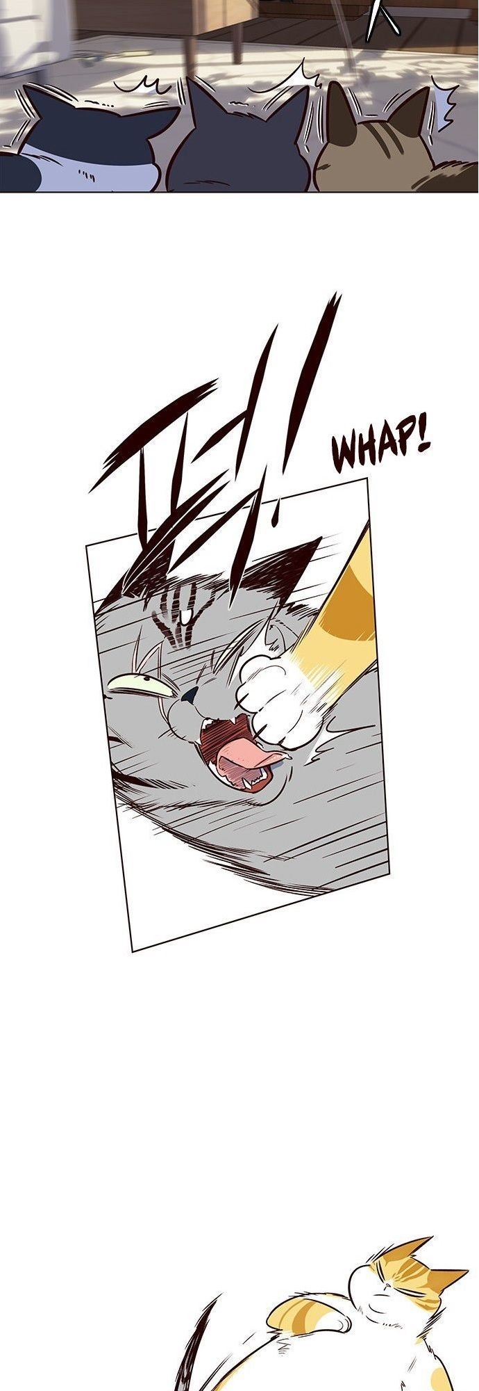 Hoá Thân Thành Mèo Chap 7 - Next Chap 8
