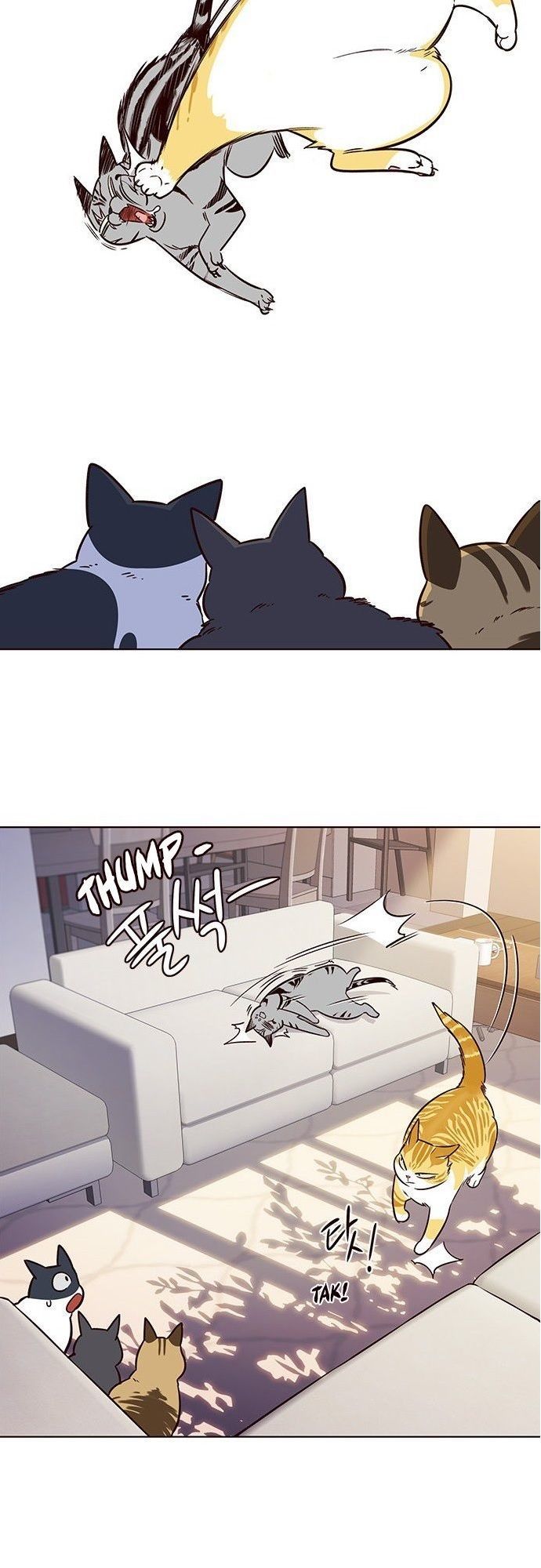 Hoá Thân Thành Mèo Chap 7 - Next Chap 8