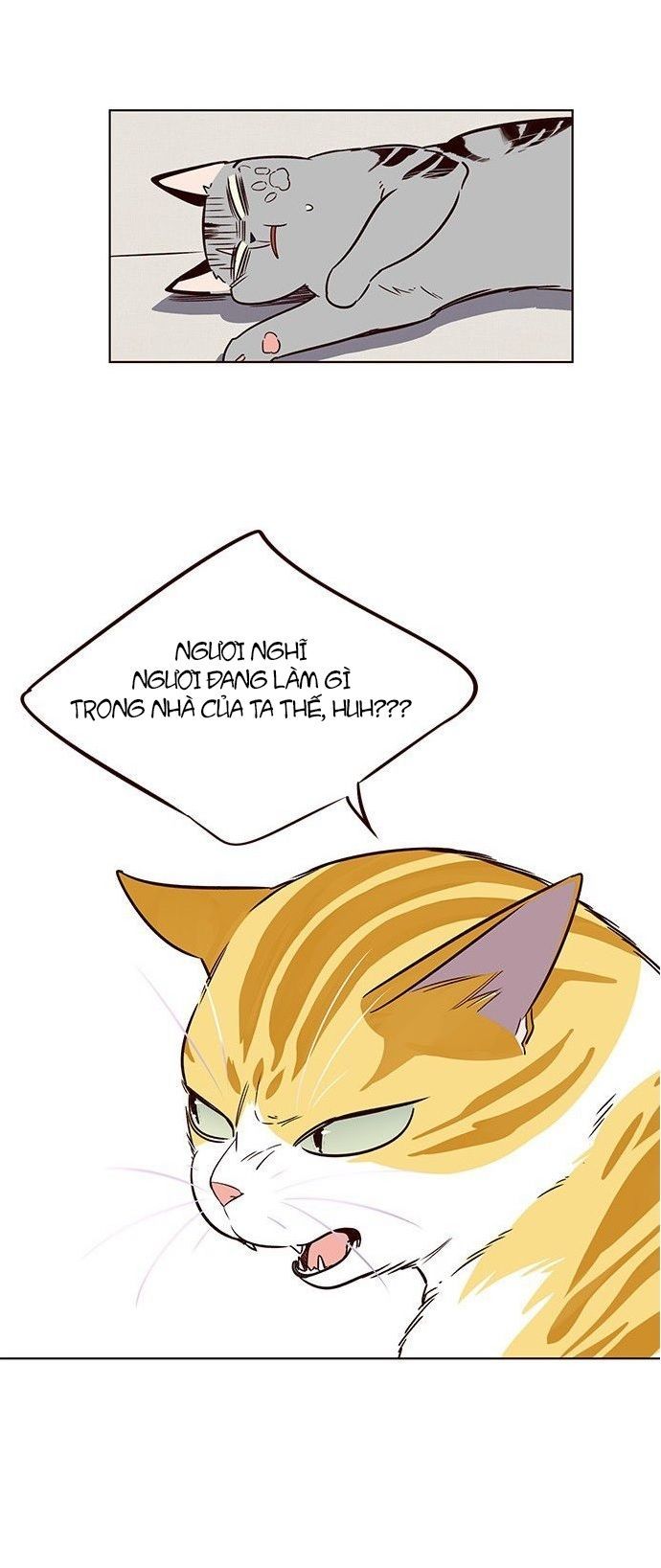 Hoá Thân Thành Mèo Chap 7 - Next Chap 8