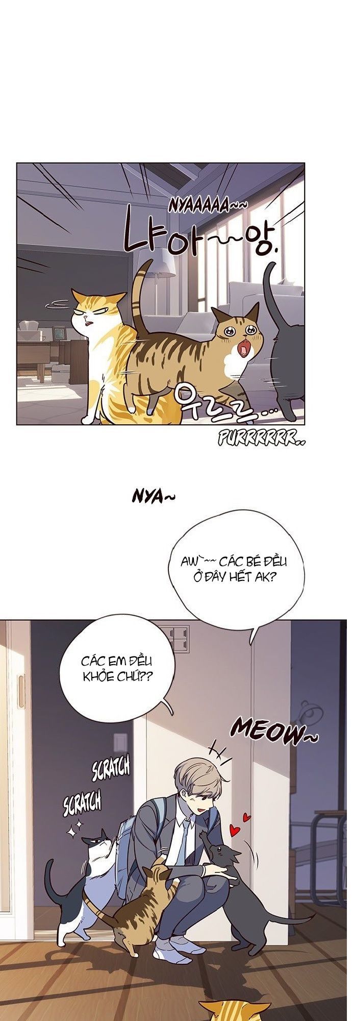 Hoá Thân Thành Mèo Chap 7 - Next Chap 8
