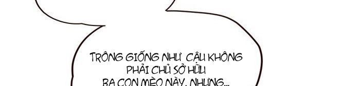 Hoá Thân Thành Mèo Chap 7 - Next Chap 8
