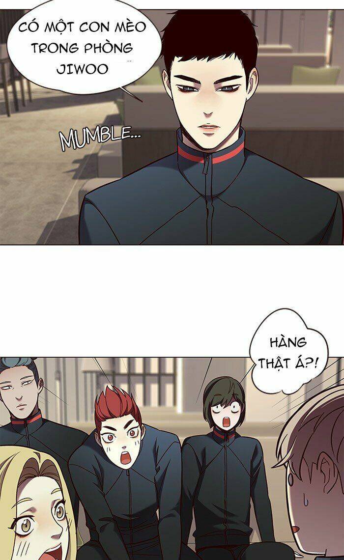 Hoá Thân Thành Mèo Chap 78 - Next Chap 79