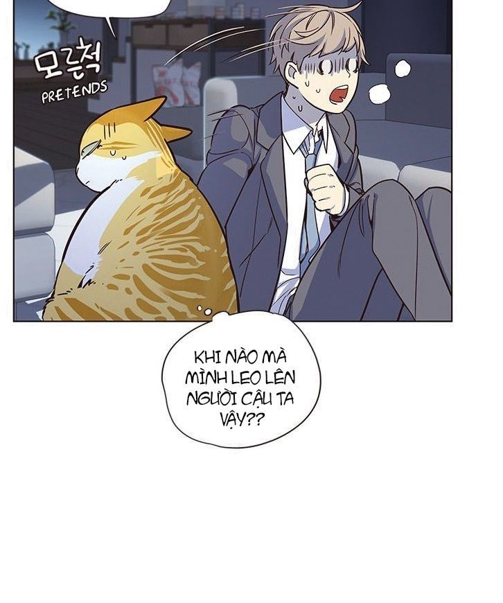 Hoá Thân Thành Mèo Chap 8 - Next Chap 9