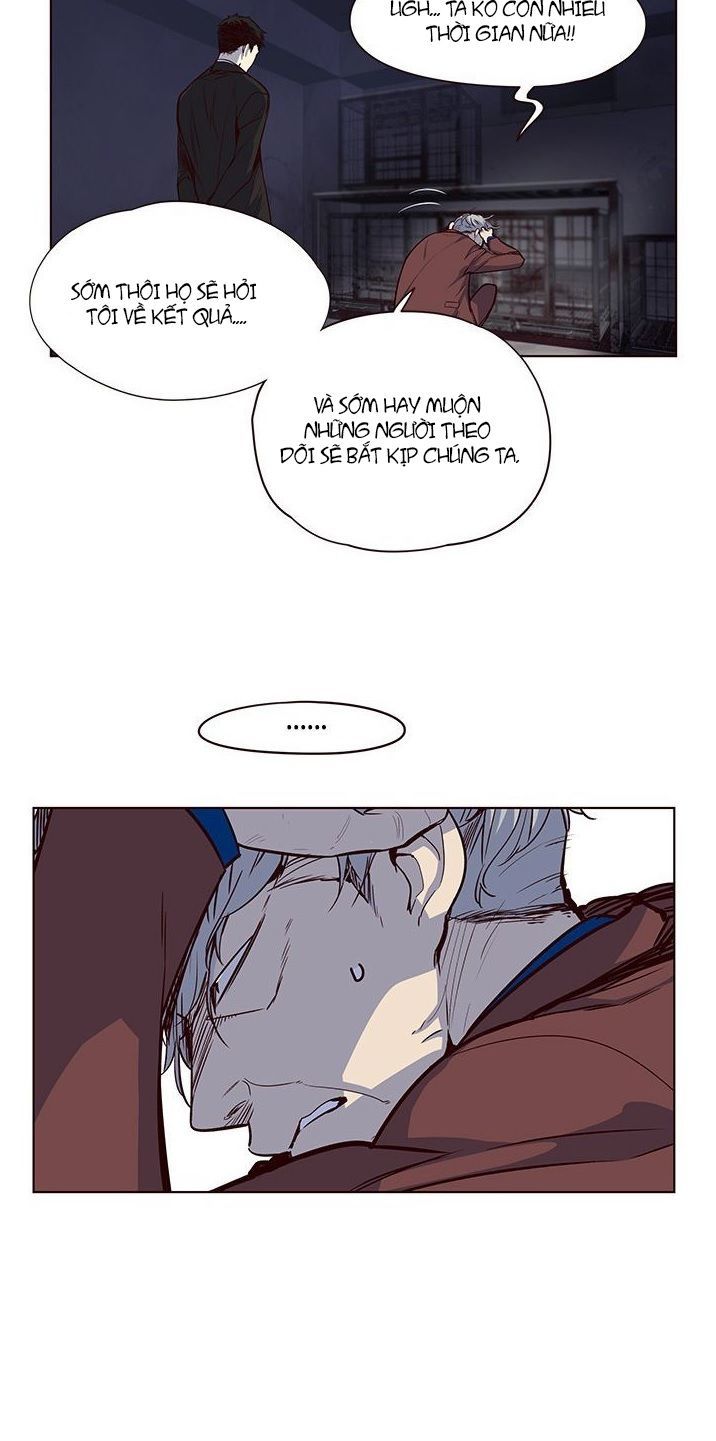 Hoá Thân Thành Mèo Chap 8 - Next Chap 9